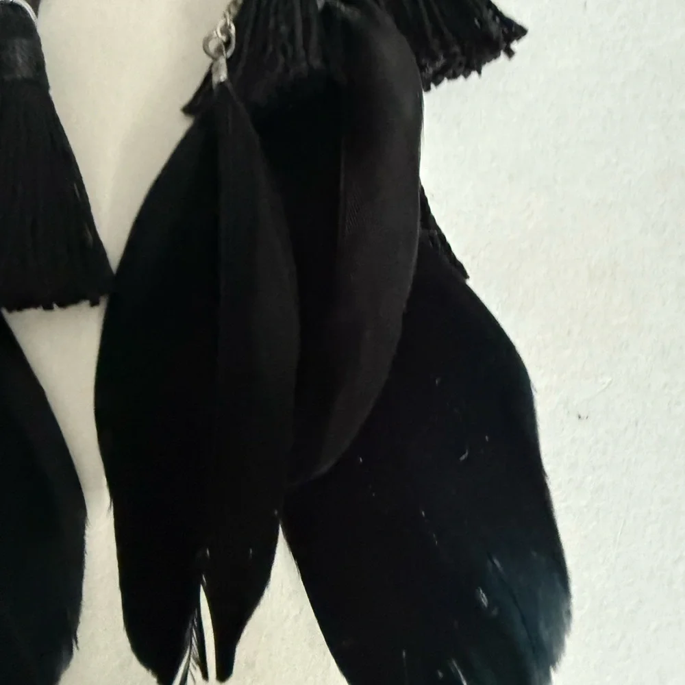 Chic Black Feather and Black  Tassel Earrings - Picture 9 of 14
